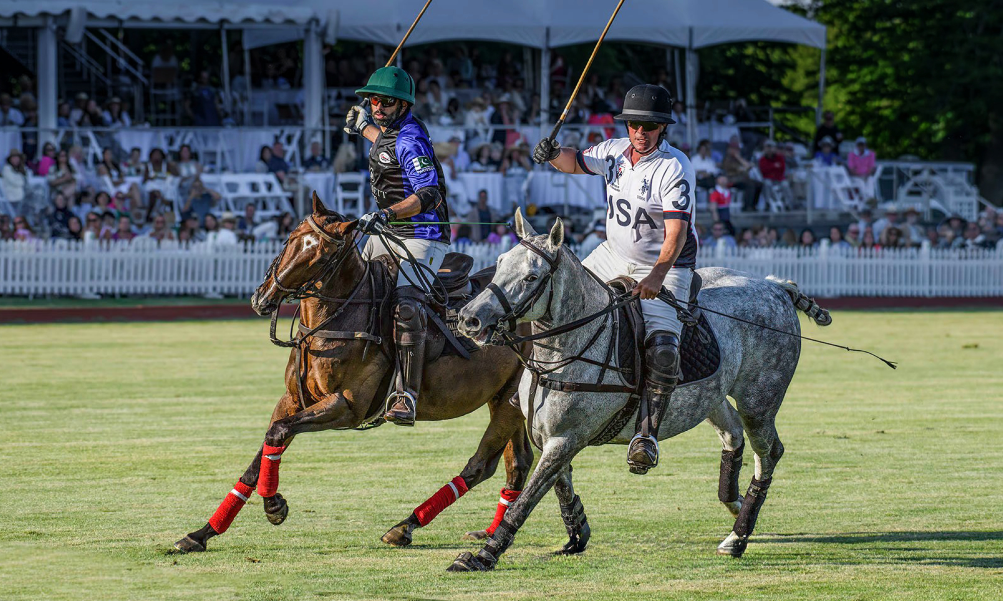 Newport International Polo Series